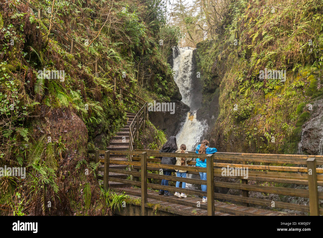 Ess-na-larach cascade dans le parc forestier de Glenariff avec une famille à la recherche sous un pont en bois Banque D'Images