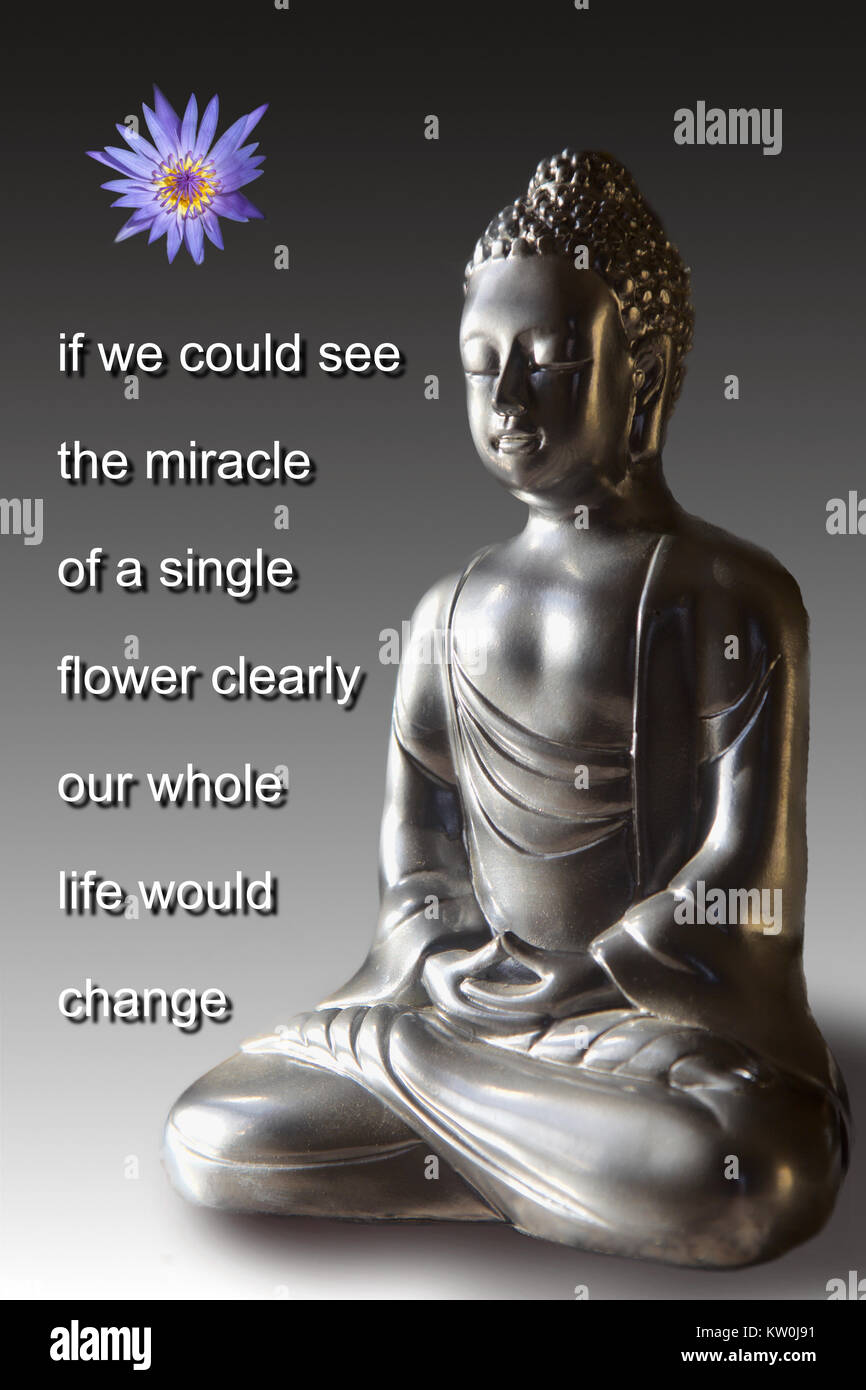 Une statue de Bouddha avec une citation de Bouddha Banque D'Images