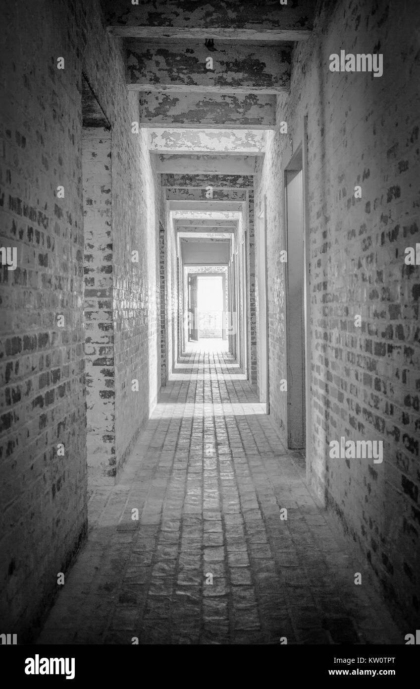 La lumière au bout du tunnel. Brique long couloir avec une lumière qui brille à travers la porte ouverte à la fin de l'orientation verticale. Banque D'Images La lumière au bout du tunnel. Brique long couloir avec une lumière qui brille à travers la porte ouverte à la fin de l'orientation verticale. Banque D'Images