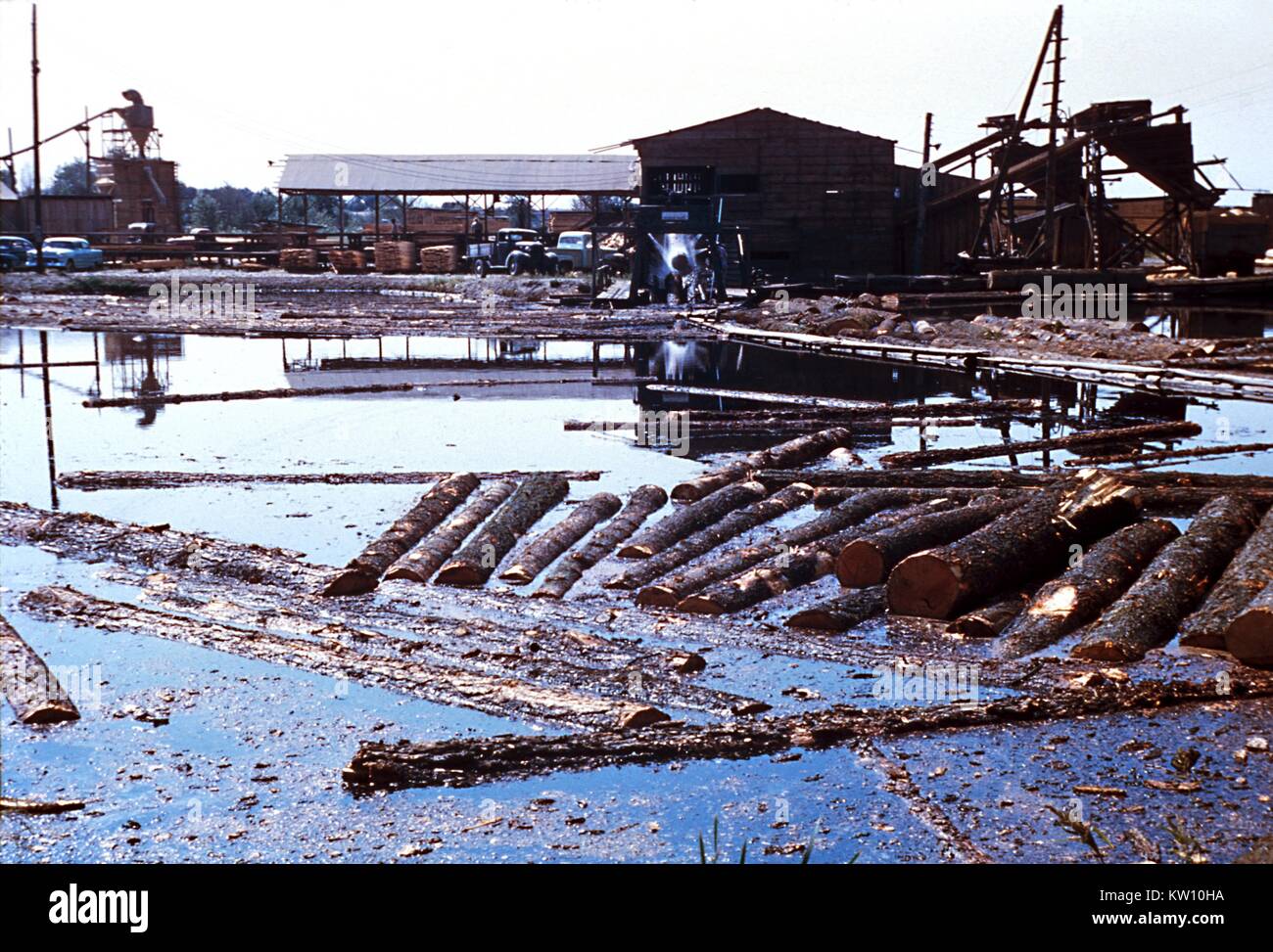 Nous trouvons ici une Oregon log pod agissant comme un lieu de reproduction des moustiques. Ce bassin de l'Oregon polluée contaminés par les déchets provenant de l'exploitation forestière est le site de reproduction de moustiques Culex et Anopheles. Image courtoisie CDC/Graham Heid, le Dr Harry D. Pratt. 1975. Banque D'Images Nous trouvons ici une Oregon log pod agissant comme un lieu de reproduction des moustiques. Ce bassin de l'Oregon polluée contaminés par les déchets provenant de l'exploitation forestière est le site de reproduction de moustiques Culex et Anopheles. Image courtoisie CDC/Graham Heid, le Dr Harry D. Pratt. 1975. Banque D'Images