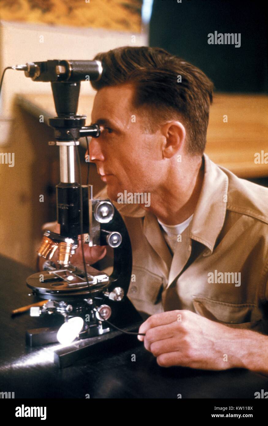 Un technicien de laboratoire en tenant une photomicrographie lors d'une étude de la peste, 1965. LabScience, peste, causée par la bactérie Yersinia pestis, est transmis à l'homme par un rongeur, Xenopsylla cheopis aux puces, ou par la manipulation d'animaux infectés. Ce technicien est l'examen d'une brocante sous le microscope. Image courtoisie CDC/Margaret A. Parsons, 1965. Banque D'Images