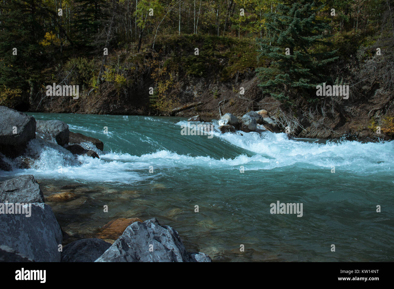 Rivière rapide qui coule à travers les roches dans une forêt de montagne Banque D'Images