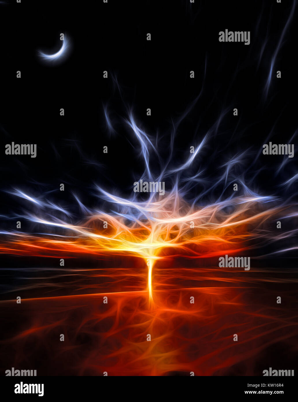 Magnifique Coucher De Soleil Sur La Plage Les étoiles Et La