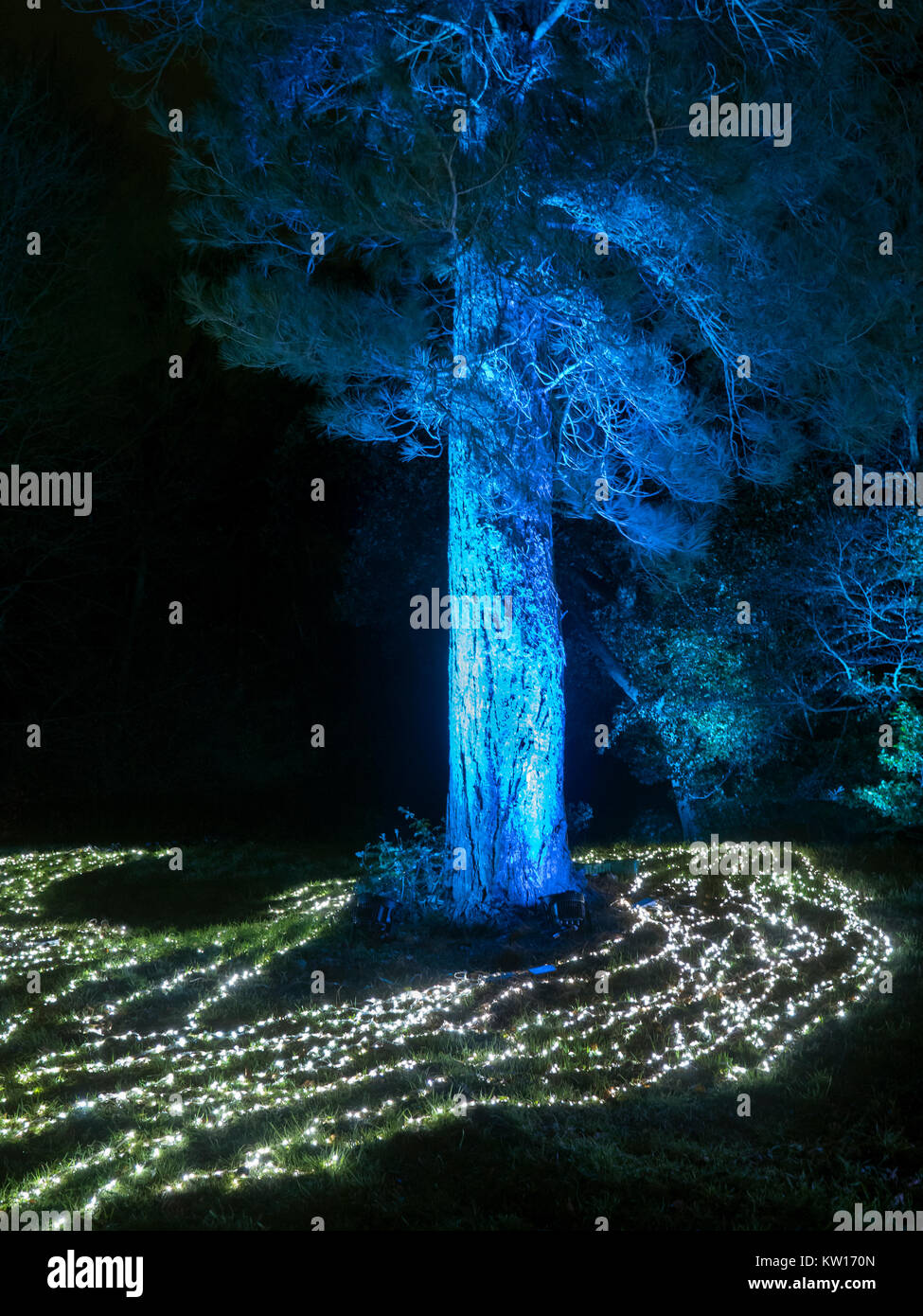 Blenheim Palace Lumière de Noël trail 2017 Banque D'Images