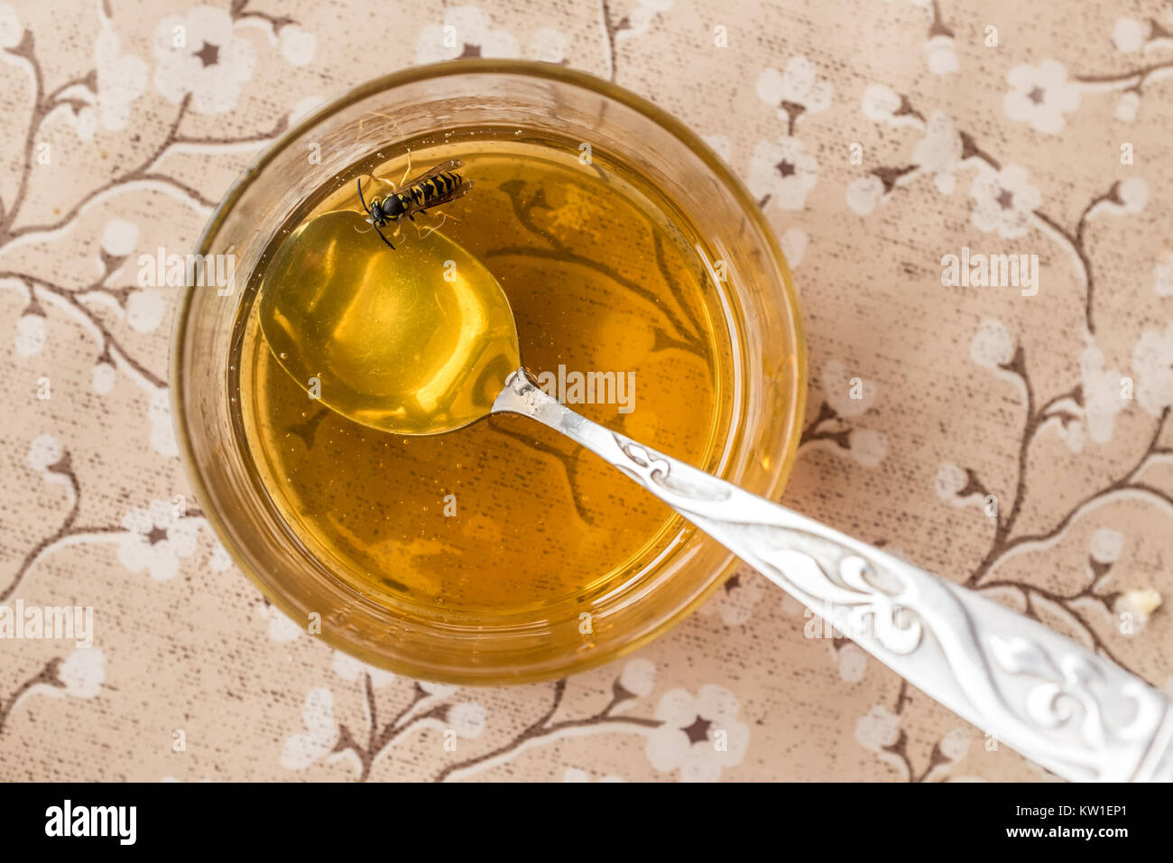 Dans l'abeille de miel géorgienne sur la table dans la région de Racha, Géorgie Banque D'Images