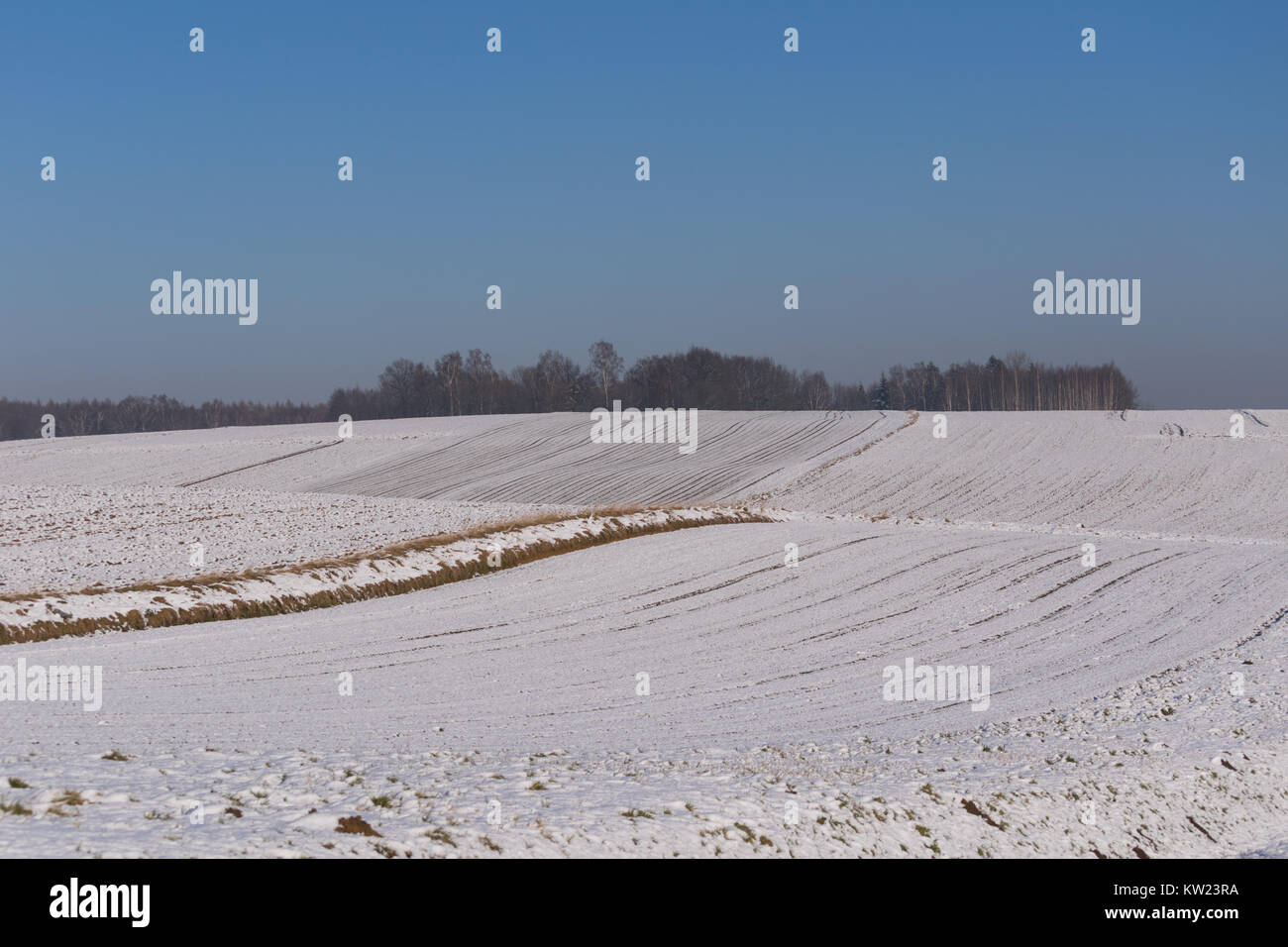 Natura 2000, Głębowice, la Pologne, l'Europe. 30 Décembre, 2017. Attaque d'hiver. 30 Dec 2017, attaque d'hiver . Credit : w124merc / Alamy Live News Banque D'Images