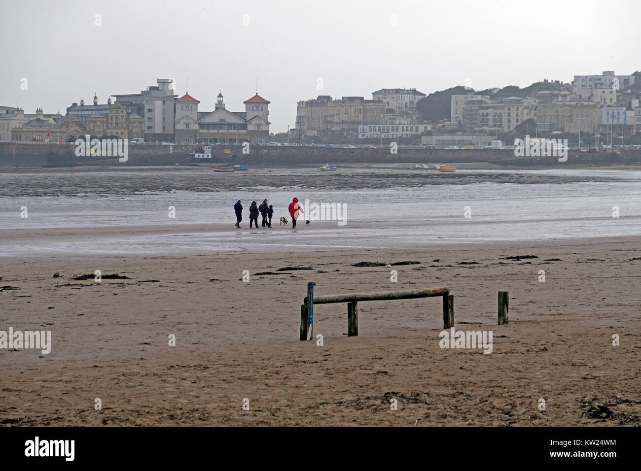 Weston-super-Mare, Royaume-Uni. 30 Décembre, 2017. Météo France : Dog Walkers braver les éléments sur la plage sur une journée froide qui a coups de vent. Keith Ramsey/Alamy Live News Banque D'Images