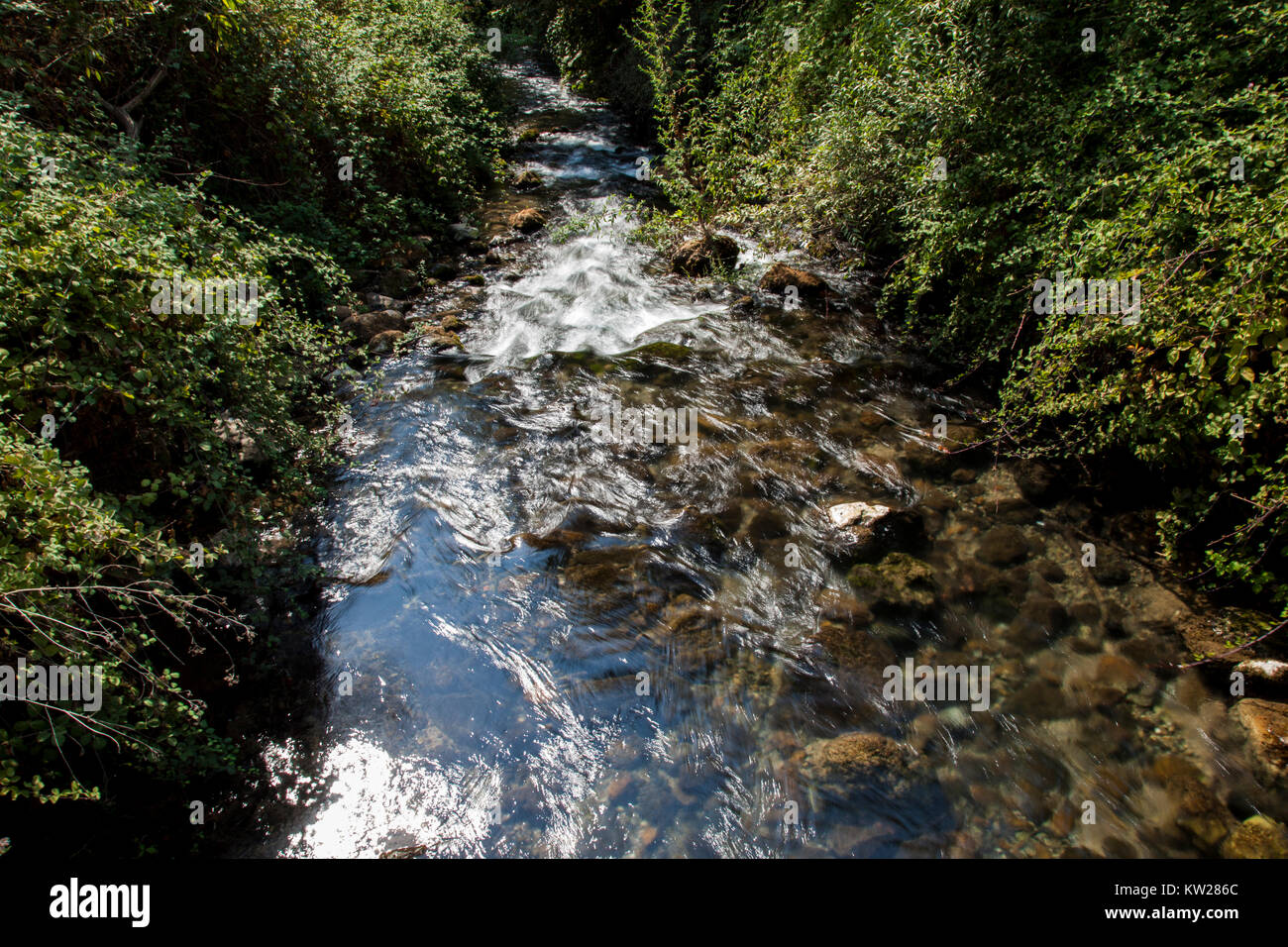 Rivière Banias, Hauteurs du Golan, Israël Banque D'Images