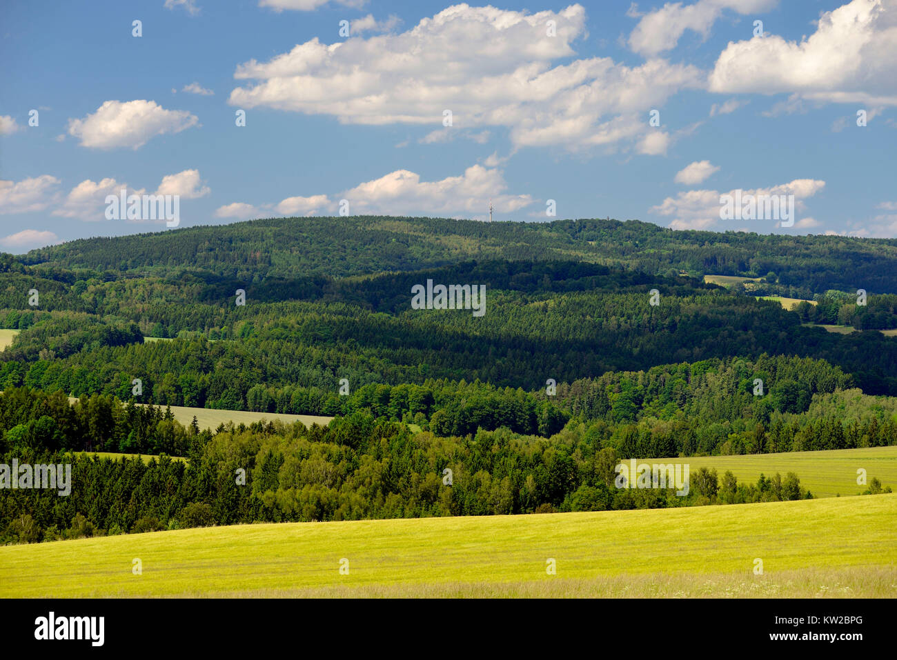 Pays montagneux de Lusace, mountain Unger dans la vue de l'esprit de clocher mountain grove lumineux, Lausitzer Bergland, Ungerberg dans der Ansicht vom Parpp Banque D'Images