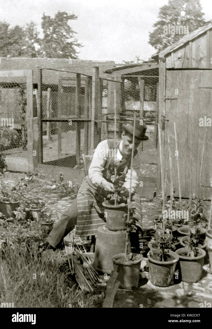 Jardinier victorien rempotage des plantes et de jalonnement (ch. 1900) Banque D'Images