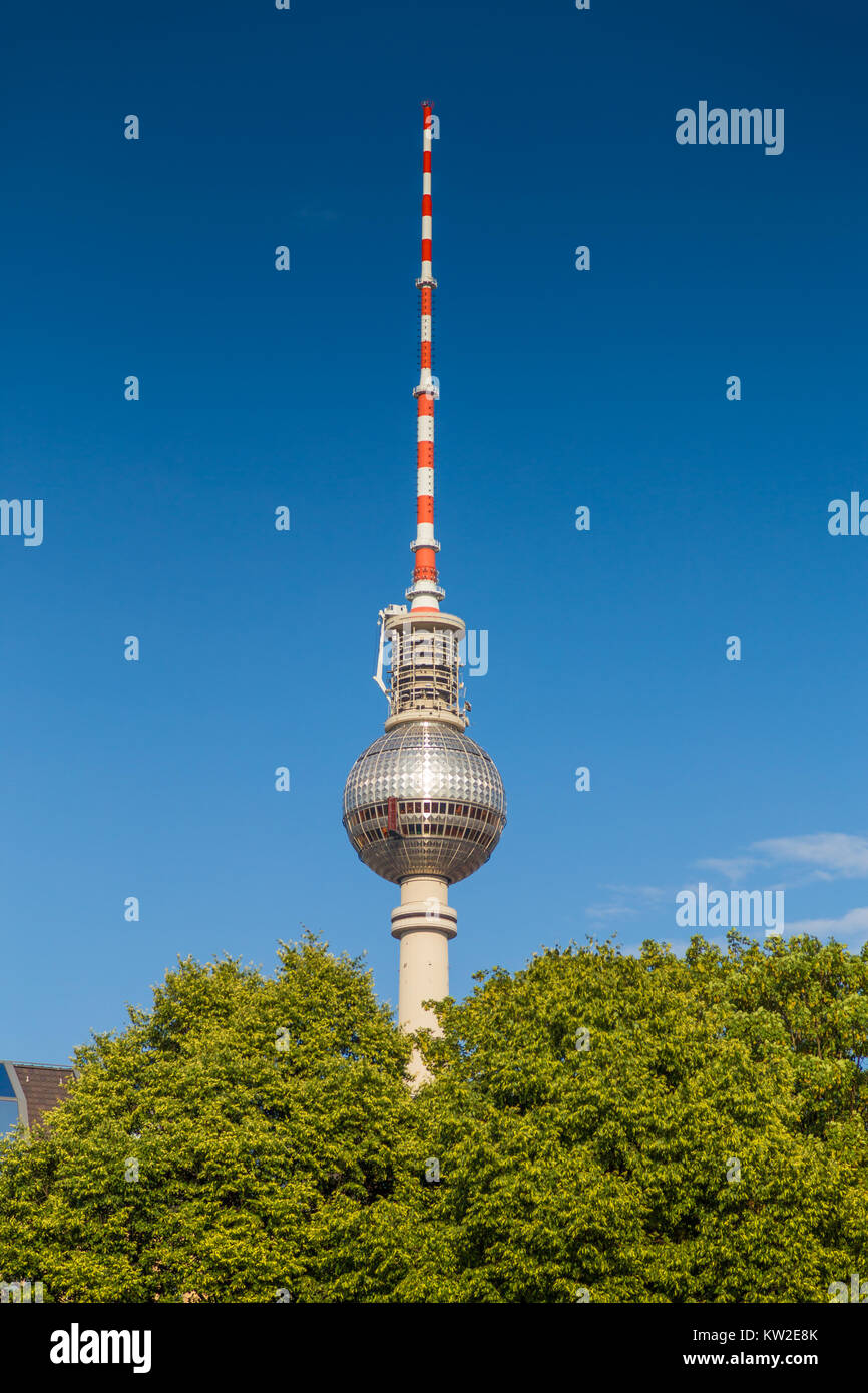 Vue panoramique vue verticale de la célèbre tour de télévision de Berlin, à Alexanderplatz sur une belle journée ensoleillée avec ciel bleu et vert des arbres en été, au centre de Berlin M Banque D'Images