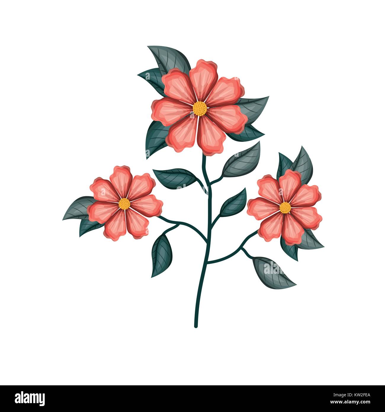 Géranium fleur plante à fond blanc Illustration de Vecteur