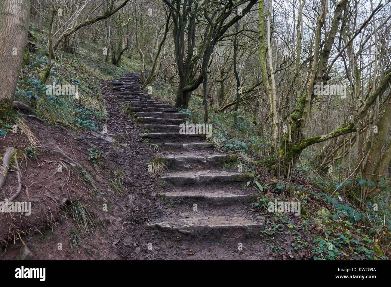 Chemin de la colline dans la forêt de Thor's Cave . Banque D'Images