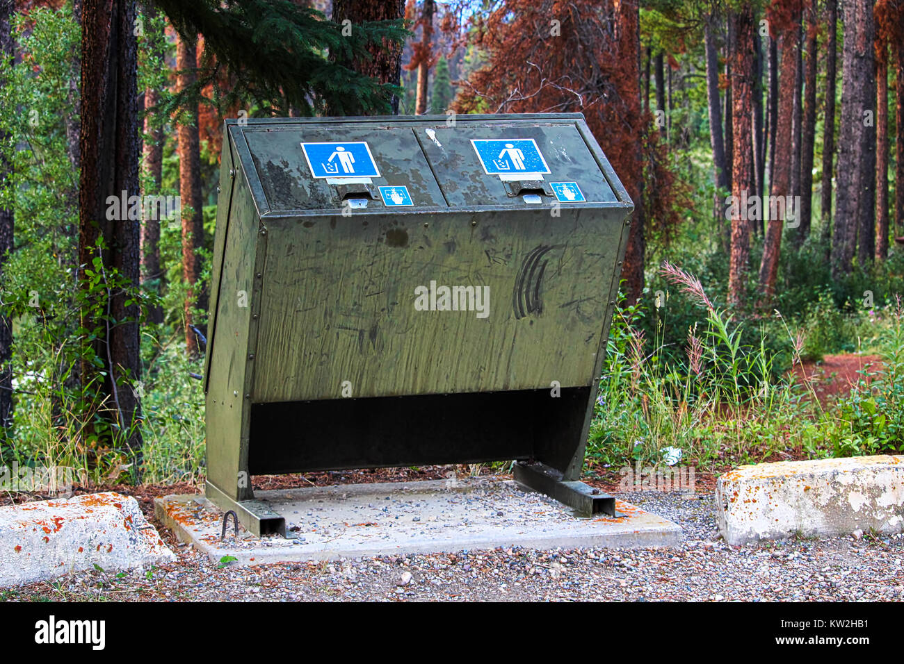 Une preuve de l'ours des conteneurs à déchets le long du côté d'un parking. Banque D'Images