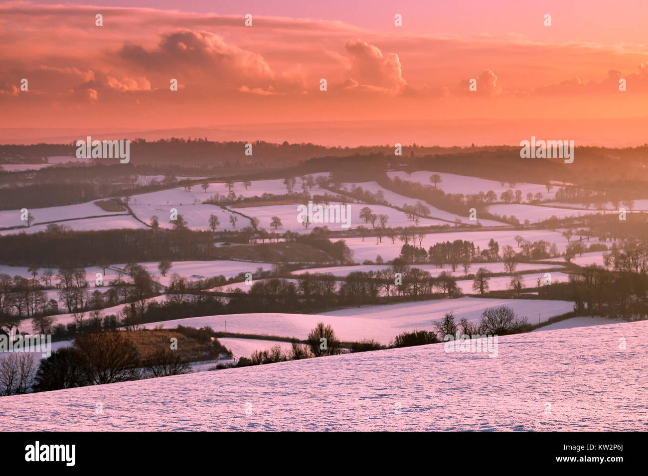 Dunes du Nord en hiver. Banque D'Images