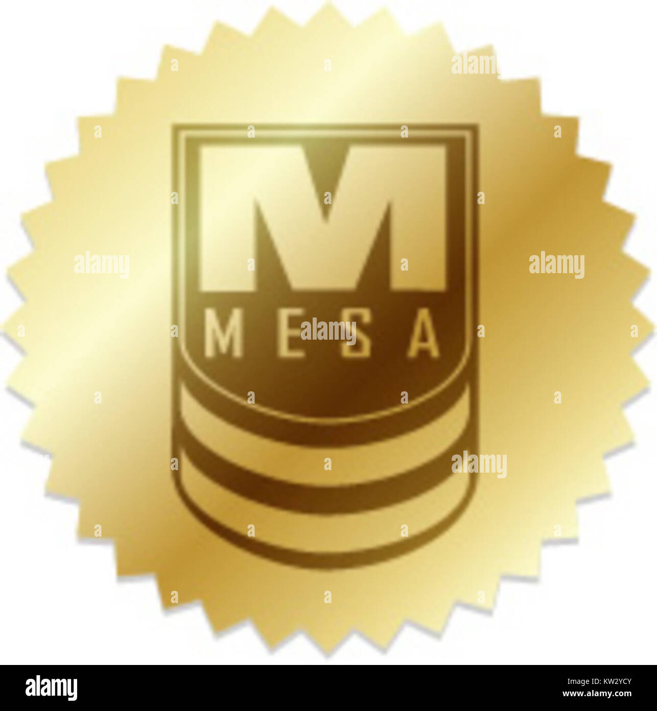 MESA certification est une qualification professionnelle reconnue dans diverses industries. Il veille à ce que les individus ou les organisations respectent des normes et des compétences spécifiques liées à leur domaine, favorisant ainsi l'excellence et la crédibilité sur le marché. Banque D'Images