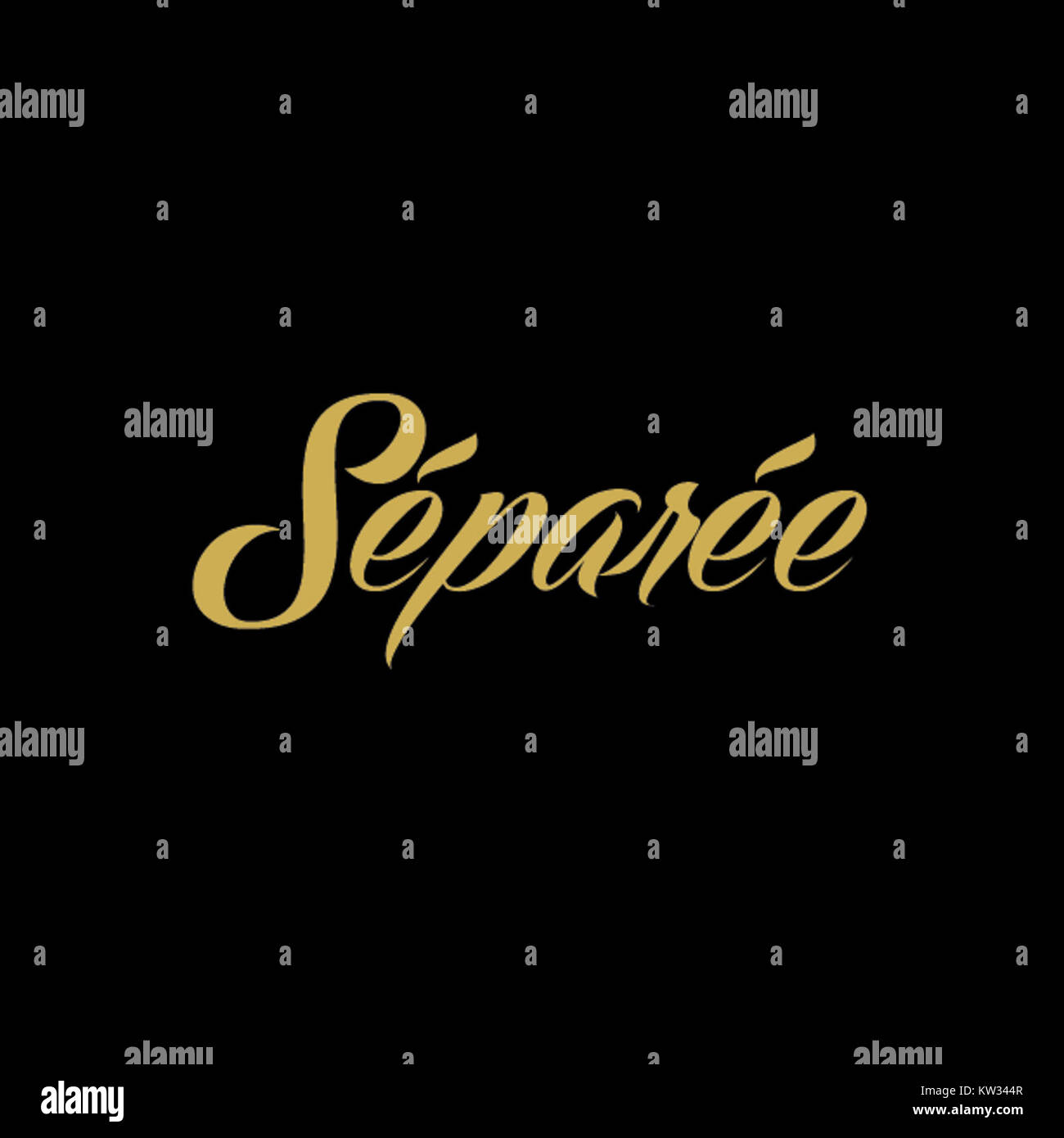 'Schriftzug separee' fait référence à un élément décoratif ou typographique, souvent utilisé dans la conception ou la signalisation. Le terme est dérivé du mot allemand « Schriftzug », qui signifie « inscription », et peut se référer à un style spécifique ou à un but d'écriture utilisé pour des raisons stylistiques ou fonctionnelles. Banque D'Images