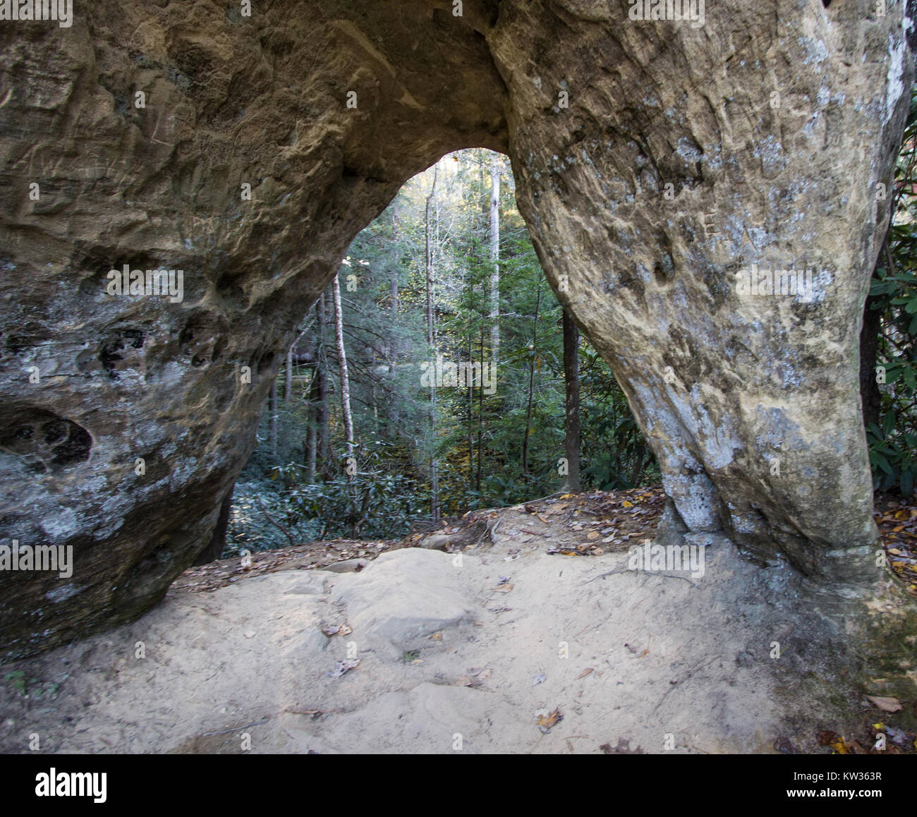 La fenêtre de l'ange le grès arche naturelle dans la Red River Gorge du Kentucky's Daniel Boone National Forest. Banque D'Images