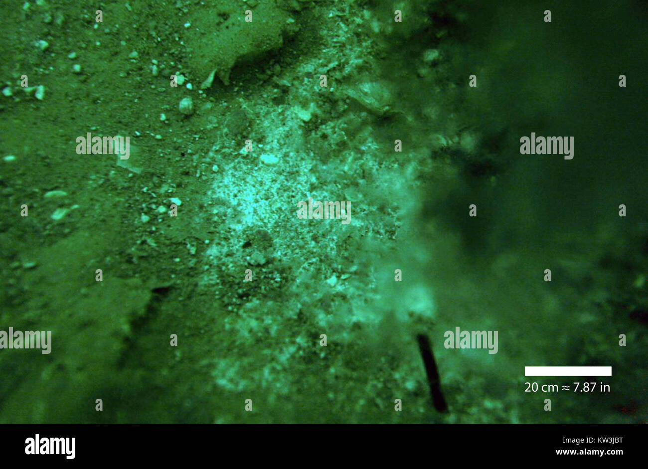 Étude menée en 2012 qui a découvert des biofilms près de sources d'eau douce sous-marines dans la mer morte, jetant la lumière sur la vie microbienne dans des environnements extrêmes. Banque D'Images