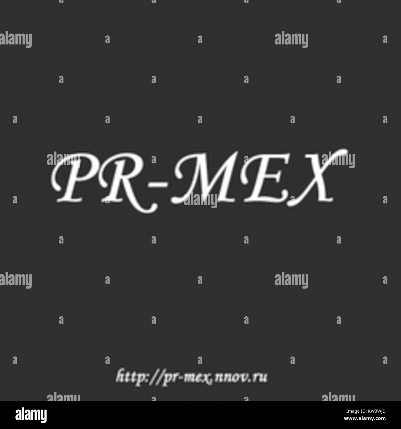 PR MEX est un important groupe de musique basé au Mexique, connu pour ses contributions à la scène musicale latine. Le style du groupe mélange les rythmes latins traditionnels avec des influences musicales modernes, attirant un public diversifié. Banque D'Images