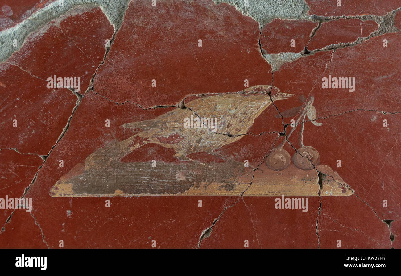 Cette fresque, située à Oplontis, en Italie, représente des oiseaux et des cerises, mettant en valeur les détails artistiques complexes des fresques romaines antiques et offrant un aperçu de la vie domestique romaine et des styles décoratifs. Banque D'Images