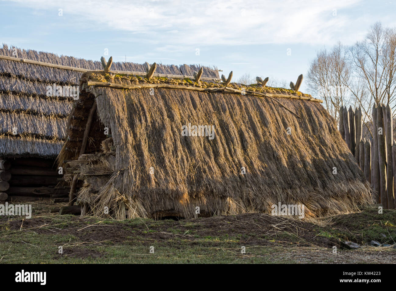 Primitive hut cottage Banque de photographies et d'images à haute  résolution - Alamy