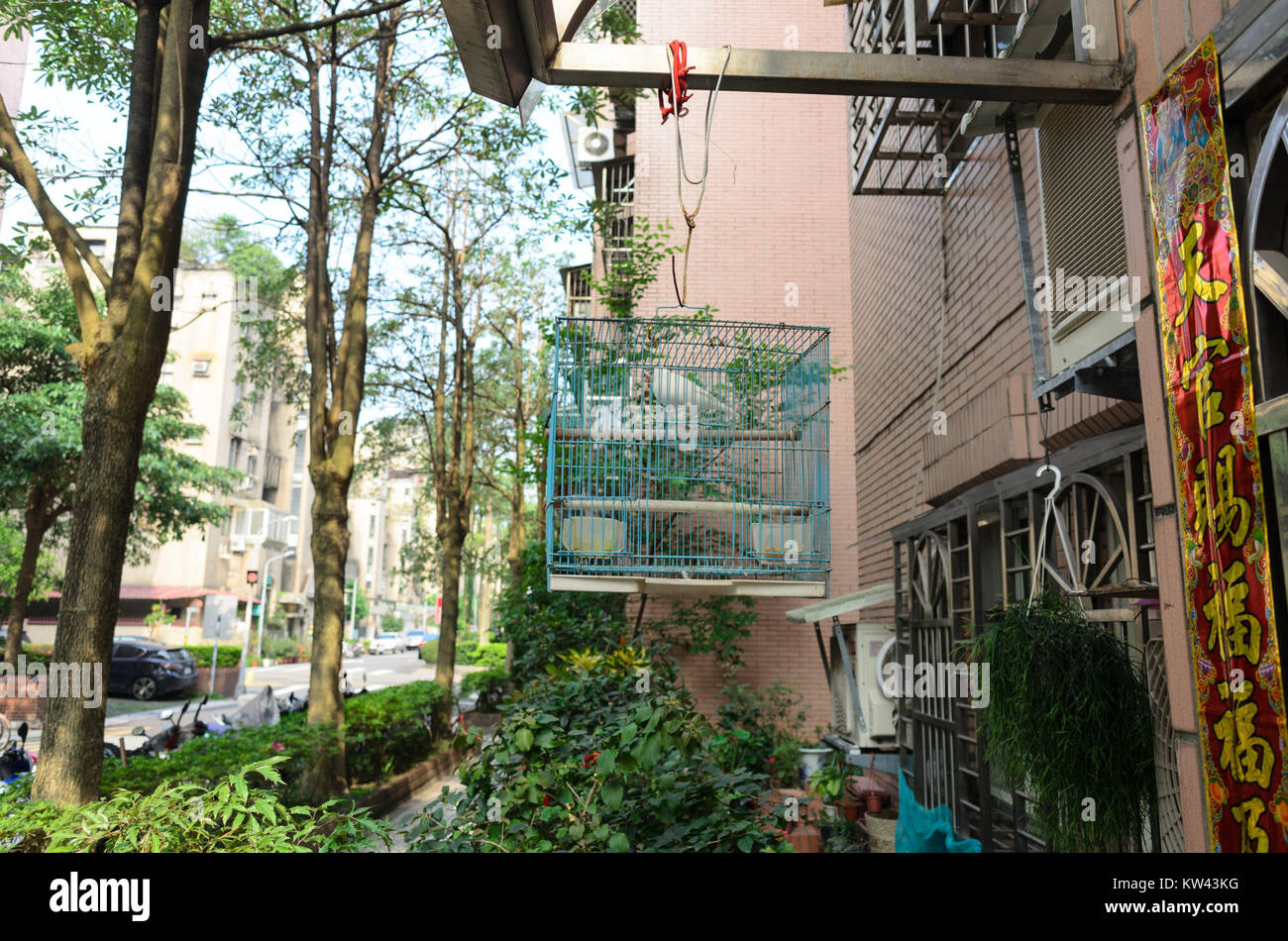 Cage à oiseaux pendus sous pavillon à Lane 68, No.556 Zhongshan Road, Taipei 20160405 Banque D'Images