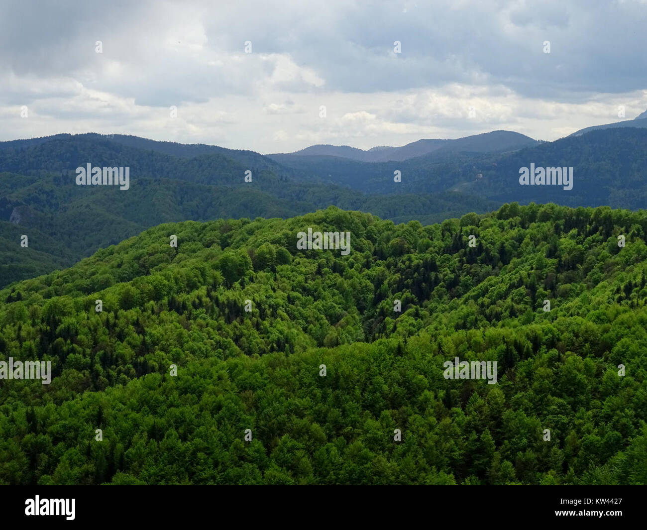 BisPagViewSpring02 est un logiciel ou un outil numérique utilisé pour le traitement ou la visualisation de données liées aux processus métier, potentiellement dans le cadre de l’analyse commerciale ou de la gestion des processus. Banque D'Images