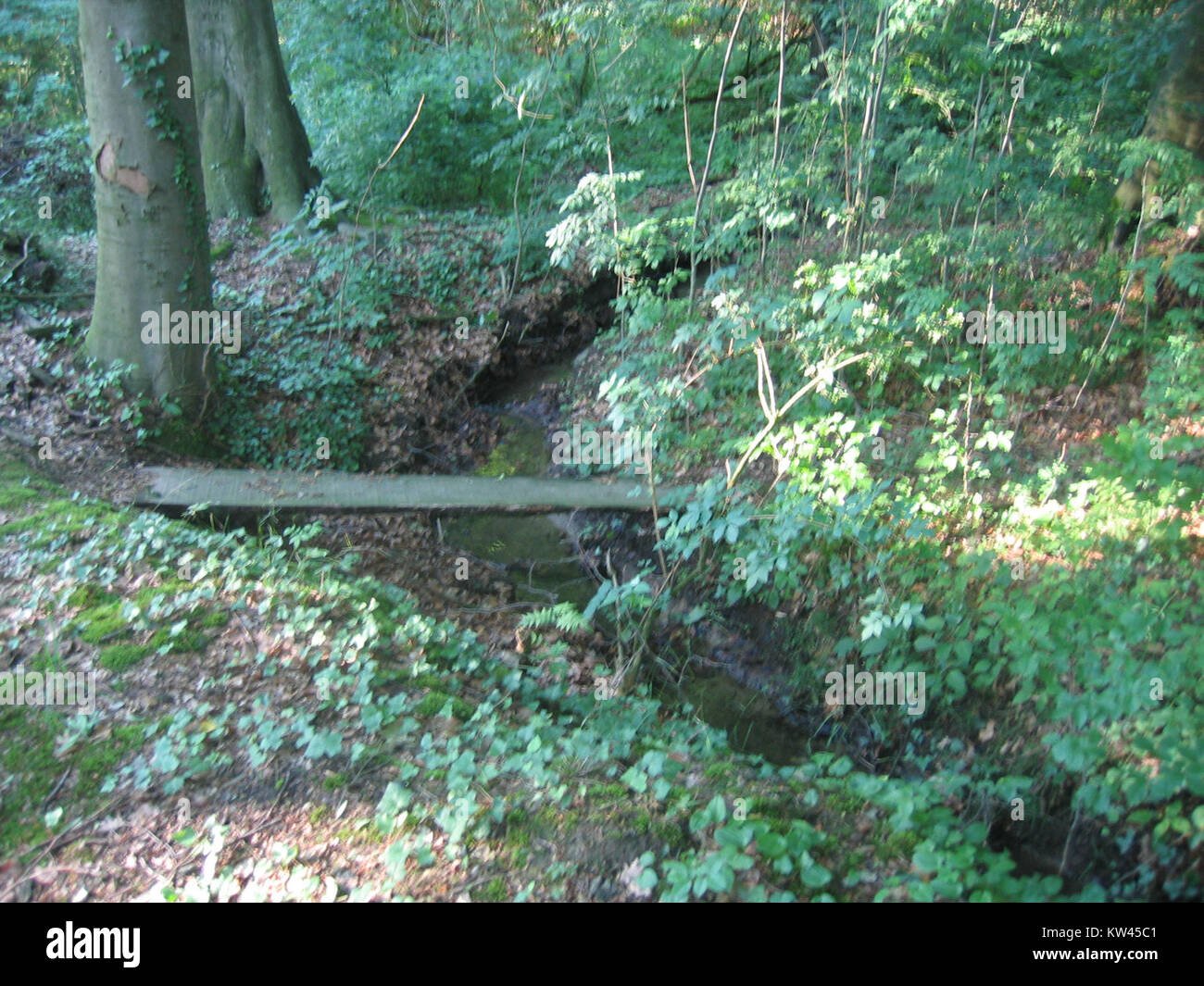 Cette image, prise en juin 2008, montre une scène à Bieren, une ville des pays-Bas. La photographie donne un aperçu de l'atmosphère locale et du cadre culturel pendant la saison estivale. Banque D'Images