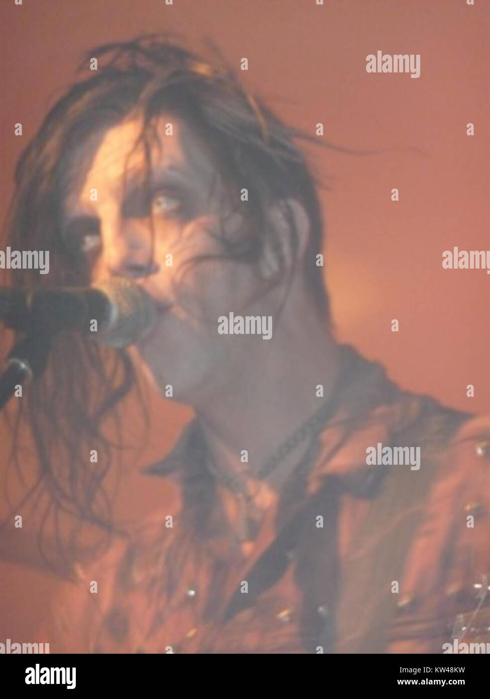 Blitzkid est un groupe connu pour son style distinctif dans les genres punk et rockabilly. La musique du groupe reflète souvent les thèmes du punk d'horreur, un sous-genre qui combine punk rock et esthétique des films d'horreur. Banque D'Images