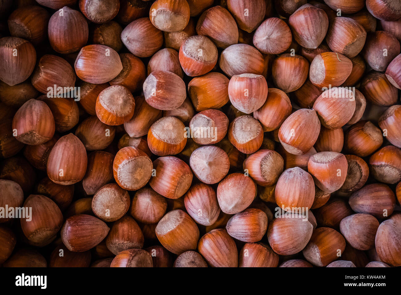 châtaignes Banque D'Images