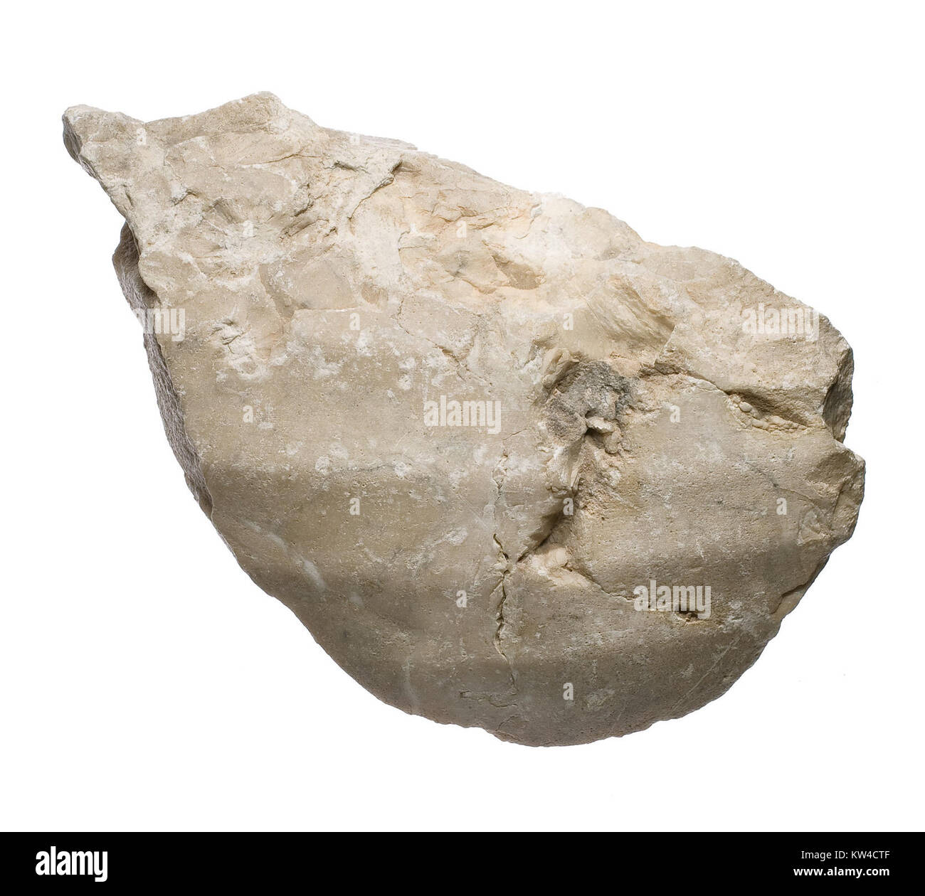 Cette pièce intitulée « Body with Garment » du Metropolitan Museum of Art présente une représentation classique d'une forme humaine drapée dans un vêtement, mettant en valeur les détails complexes et l'artisanat artistique de la période spécifiée. Banque D'Images