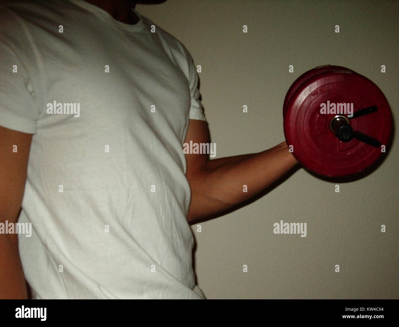 La boucle du biceps est un exercice de musculation ciblant principalement les muscles du biceps brachii dans le haut du bras. Il est couramment effectué en utilisant des haltères ou des haltères pour améliorer la force musculaire et la définition dans les bras. Banque D'Images