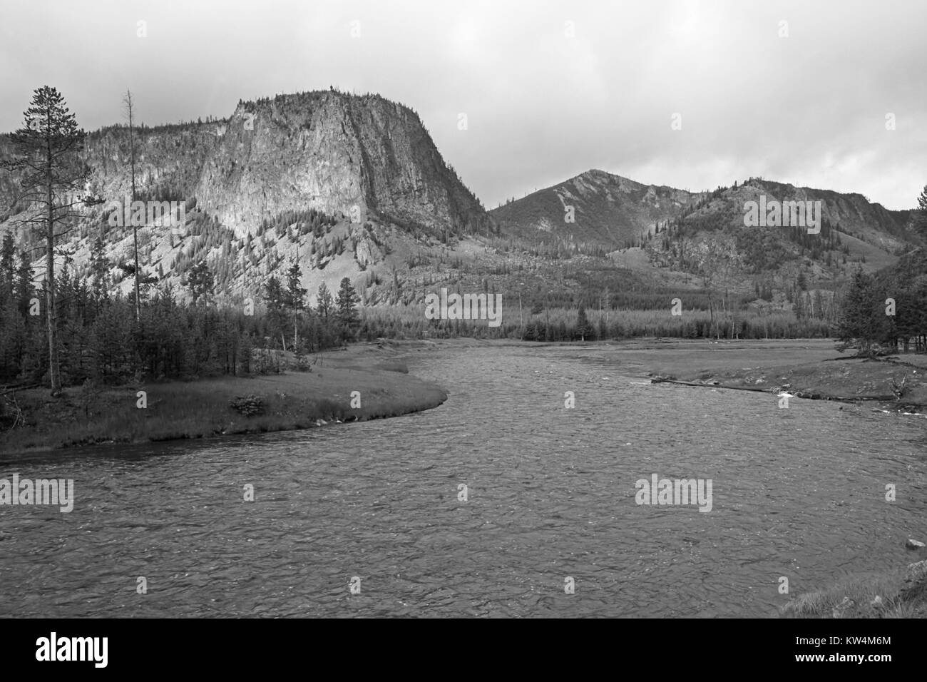 Madison River le long de la route d'entrée de l'Ouest, le Parc National de Yellowstone, Wyoming, le 17 juin 2014. Image courtoisie Jim Peaco/Parc National de Yellowstone. Banque D'Images