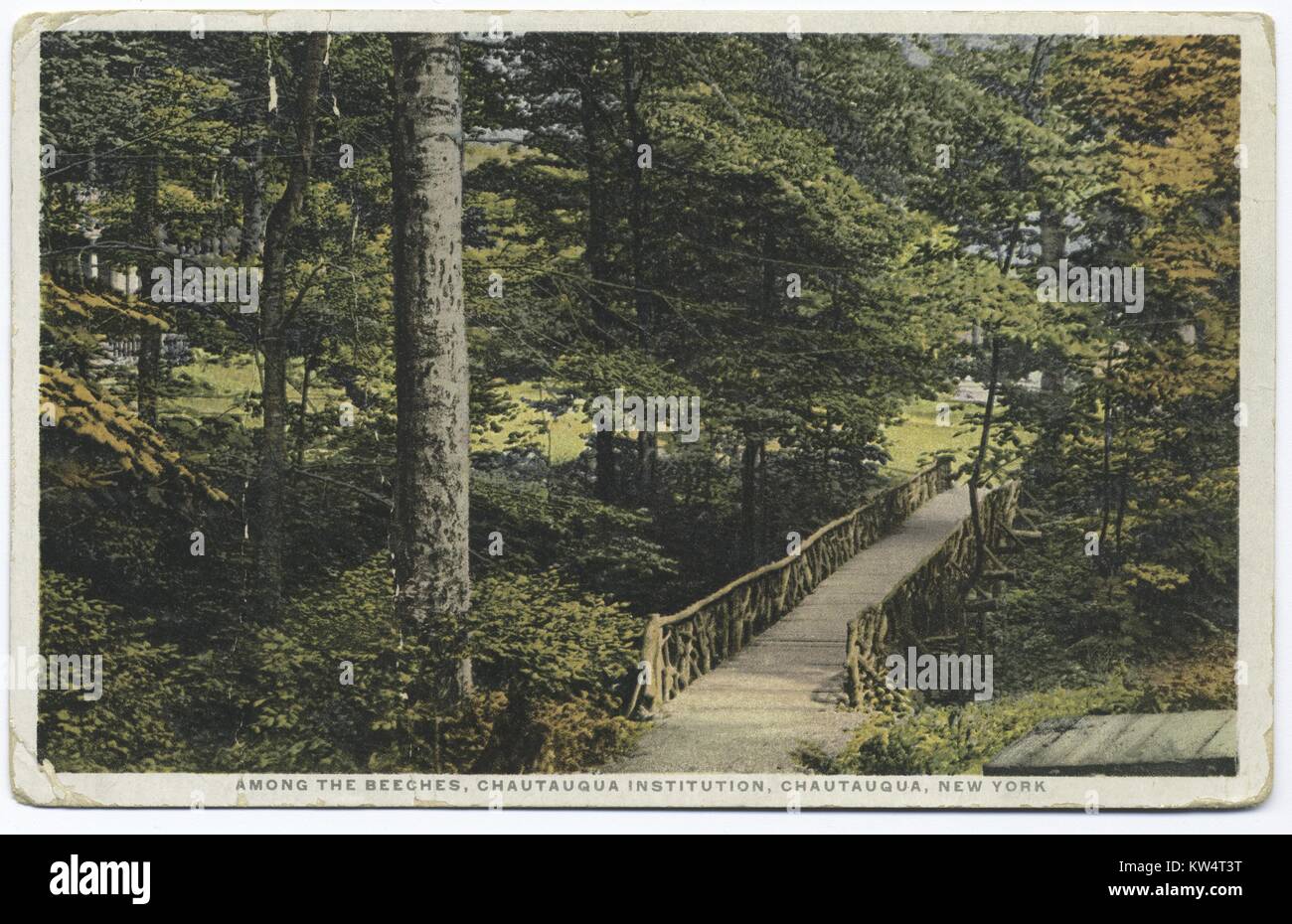 Boardwalk et passerelle entourée de hêtres, Chautauqua Institution, Chautauqua, New York State, USA, 1914. À partir de la Bibliothèque publique de New York. () Banque D'Images