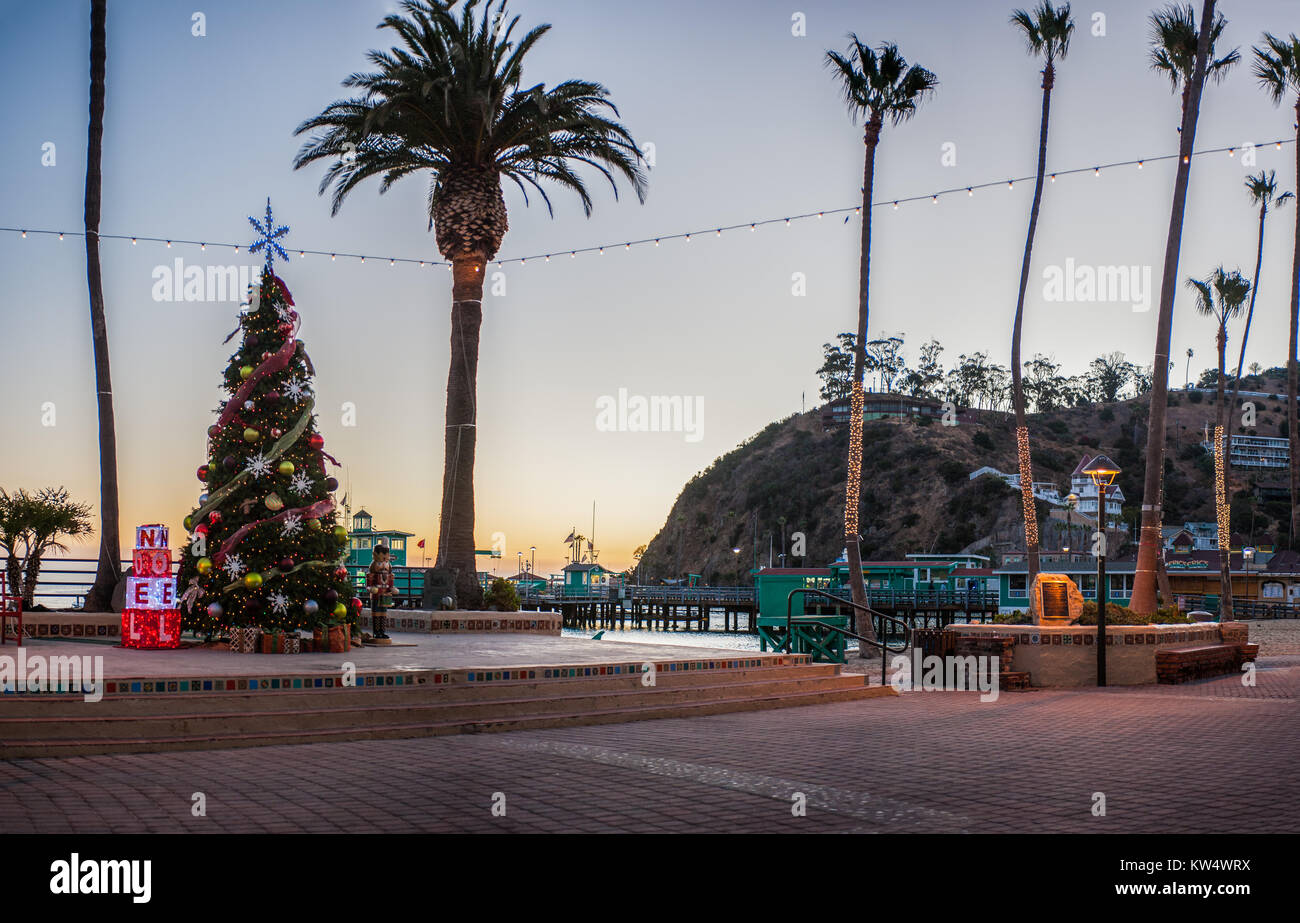 La Ville d'Avalon Beach avec de grands palmiers lumineux de l'arbre de Noël et durant la période des fêtes. Banque D'Images