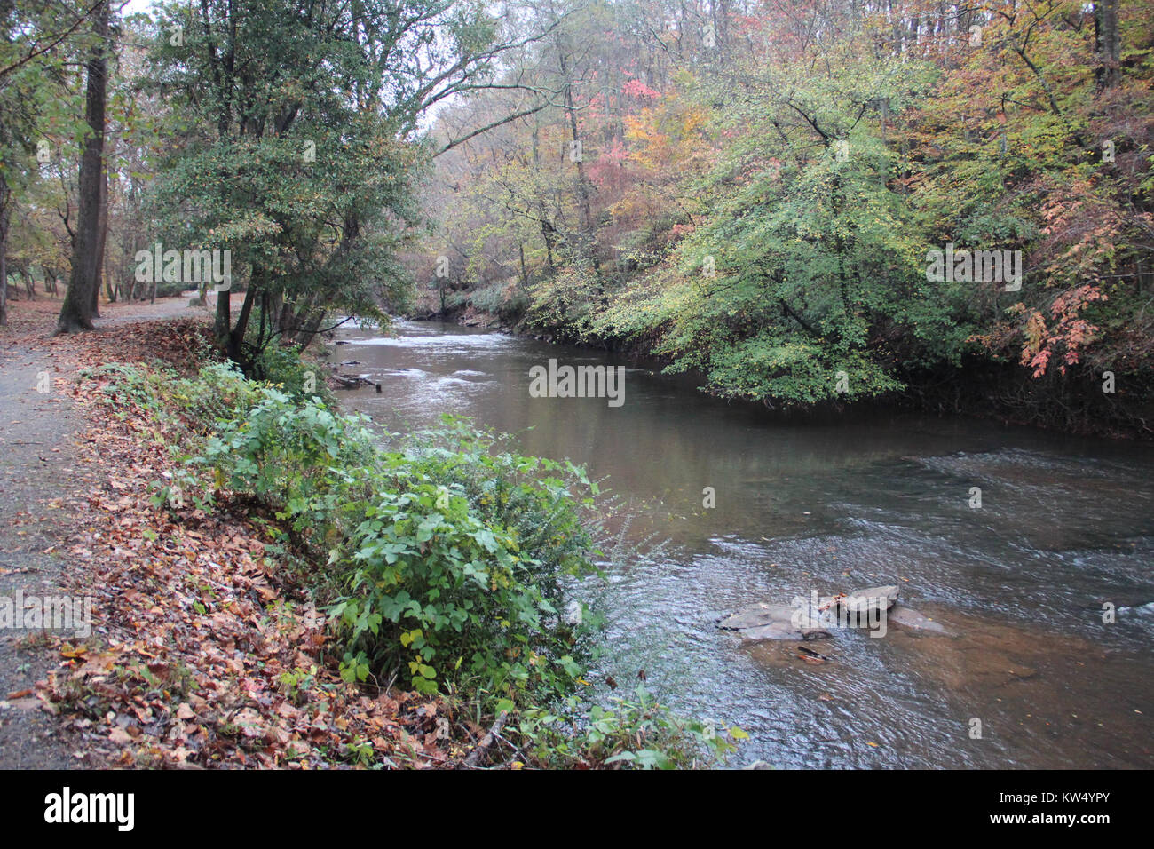 Le long du sentier du ruisseau Big Oxbo, Roswell, GA Nov 2017 Banque D'Images