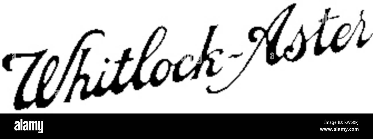 Whitlock Aster est une espèce de plante à fleurs de la famille des Asteraceae. Connu pour ses fleurs vibrantes, il prospère en Amérique du Nord, souvent trouvé dans les jardins et les paysages naturels. La plante est appréciée pour ses qualités esthétiques et sa contribution à la biodiversité. Banque D'Images