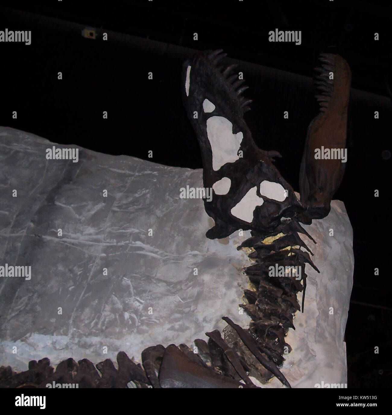 Black Beauty fait référence à un modèle spécifique de dinosaure, souvent utilisé dans des expositions ou du matériel éducatif pour représenter une certaine espèce. Il est généralement associé à une exposition bien connue ou à une représentation fictive de dinosaures, fournissant un aperçu de la vie préhistorique. Banque D'Images