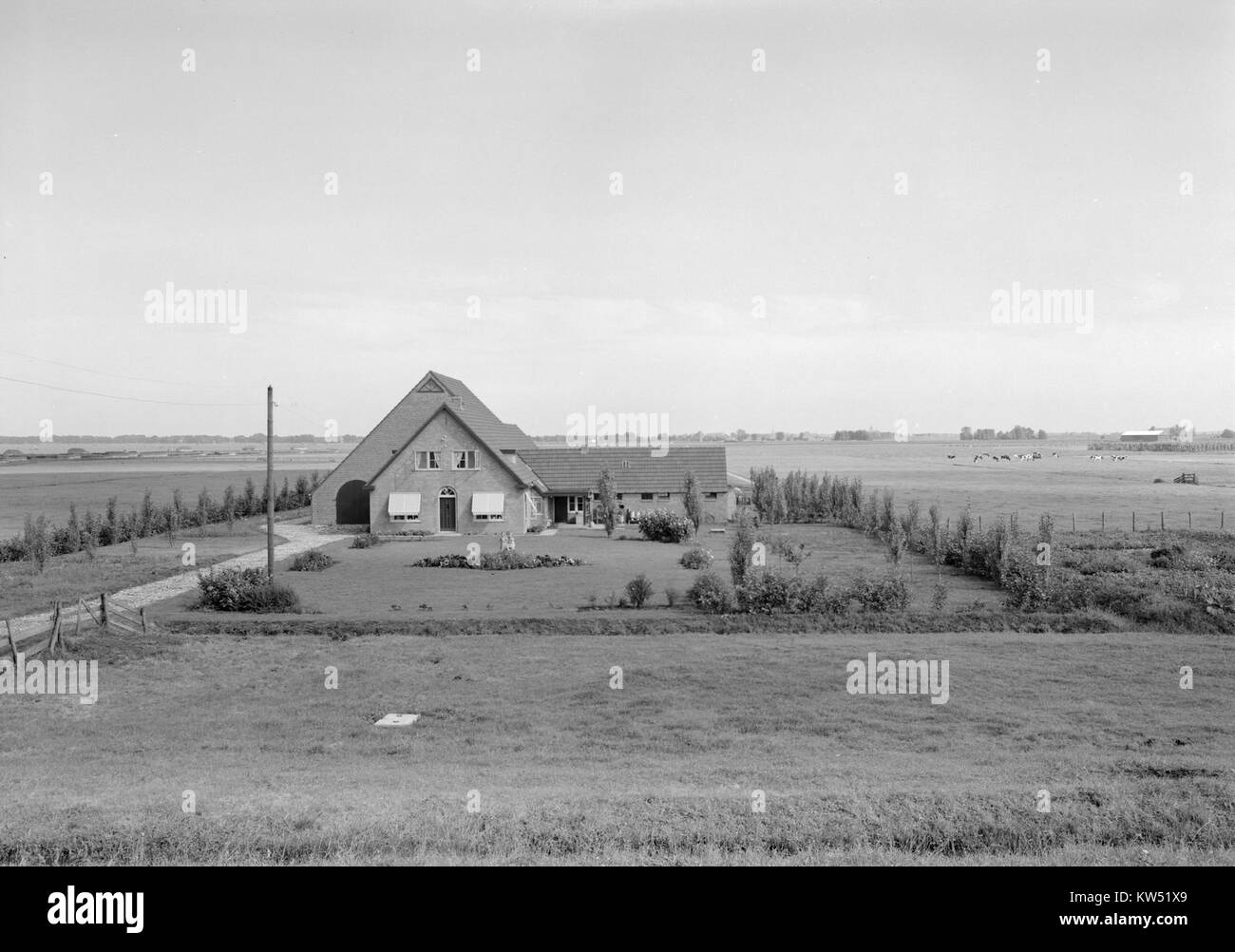 Cette image représente une ferme (boerderij) dans le polder néerlandais, mettant en valeur le paysage rural des pays-Bas. Les terres de polder sont connues pour leur utilisation agricole extensive et constituent une partie importante de l'histoire de la remise en état des terres néerlandaises. Banque D'Images
