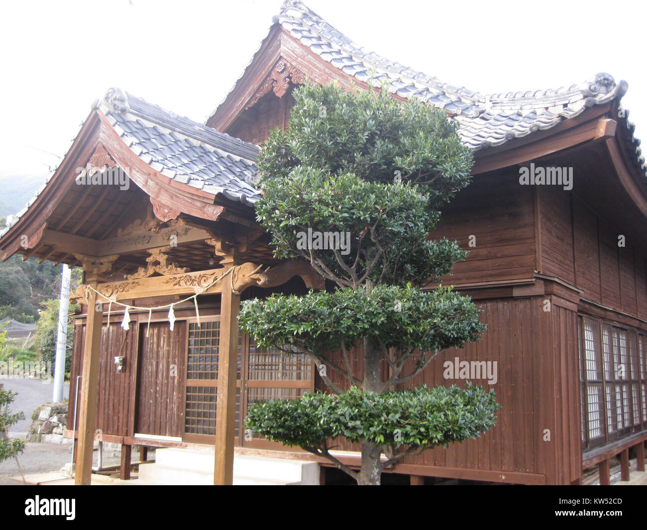 L'image 'IMG ami1' semble être un nom de fichier ou une référence, mais manque de contexte clair ou de sujet spécifique. Sans plus de détails, le sujet et la signification restent inconnus. Banque D'Images