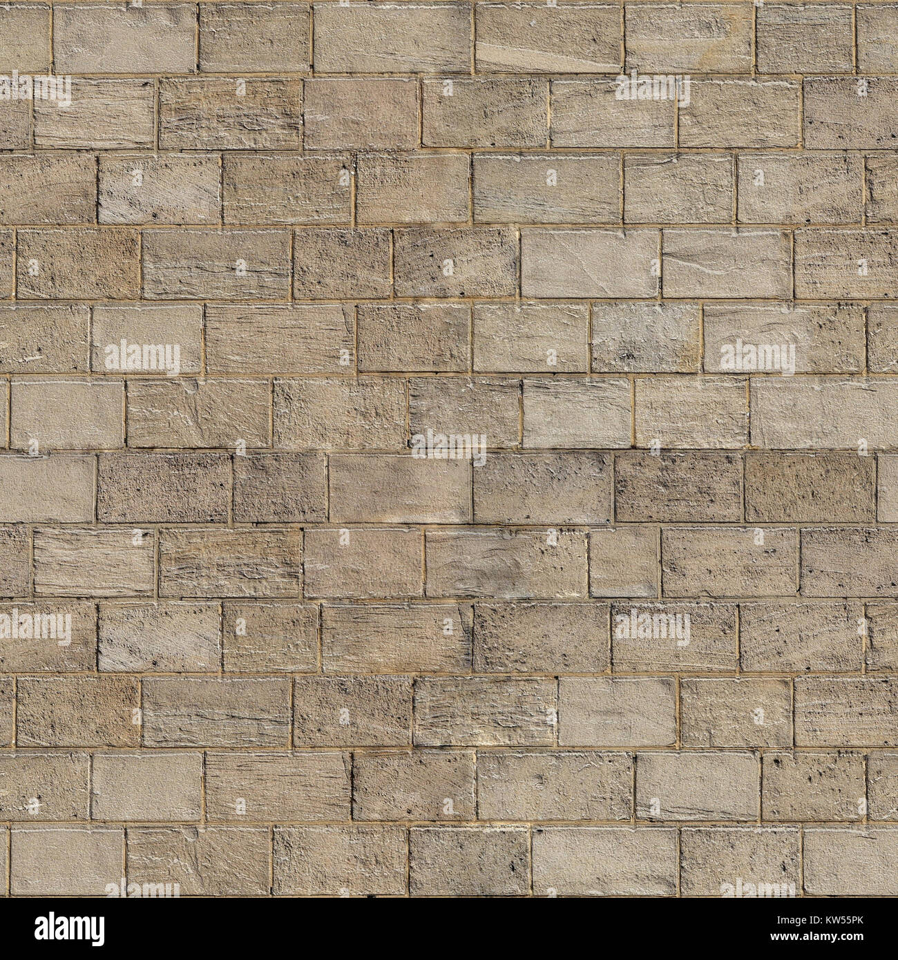 Mur de calcaire tileable se réfère à un design ou un motif pour créer des murs en utilisant le calcaire tileable, un matériau connu pour sa durabilité et son attrait esthétique dans la construction et la décoration intérieure. Banque D'Images