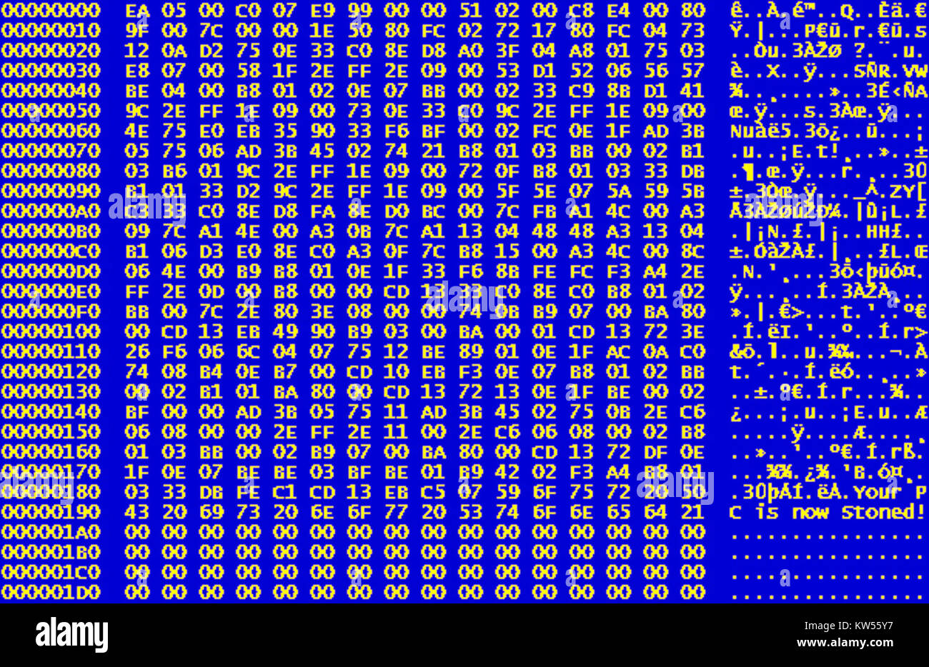 Le terme « hexacode viral lapidé » fait référence à un type spécifique de structure informatique ou virale, potentiellement liée à la cybersécurité ou à l'encodage numérique. Il peut s'agir de techniques de codage utilisées dans l'analyse logicielle ou virale. Banque D'Images