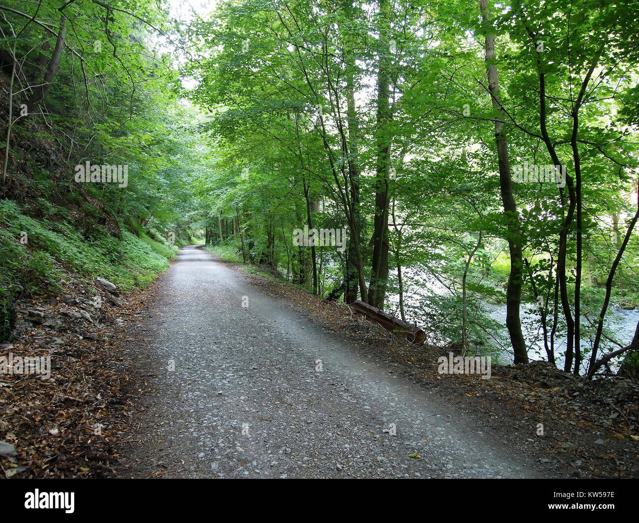 Bode Altenbrak (7) est une référence à un athlète spécifique, éventuellement impliqué dans le sport ou un individu dans un contexte historique. Vous trouverez plus de détails sur le rôle ou les activités du subjectâ€™ dans d'autres sources. Banque D'Images