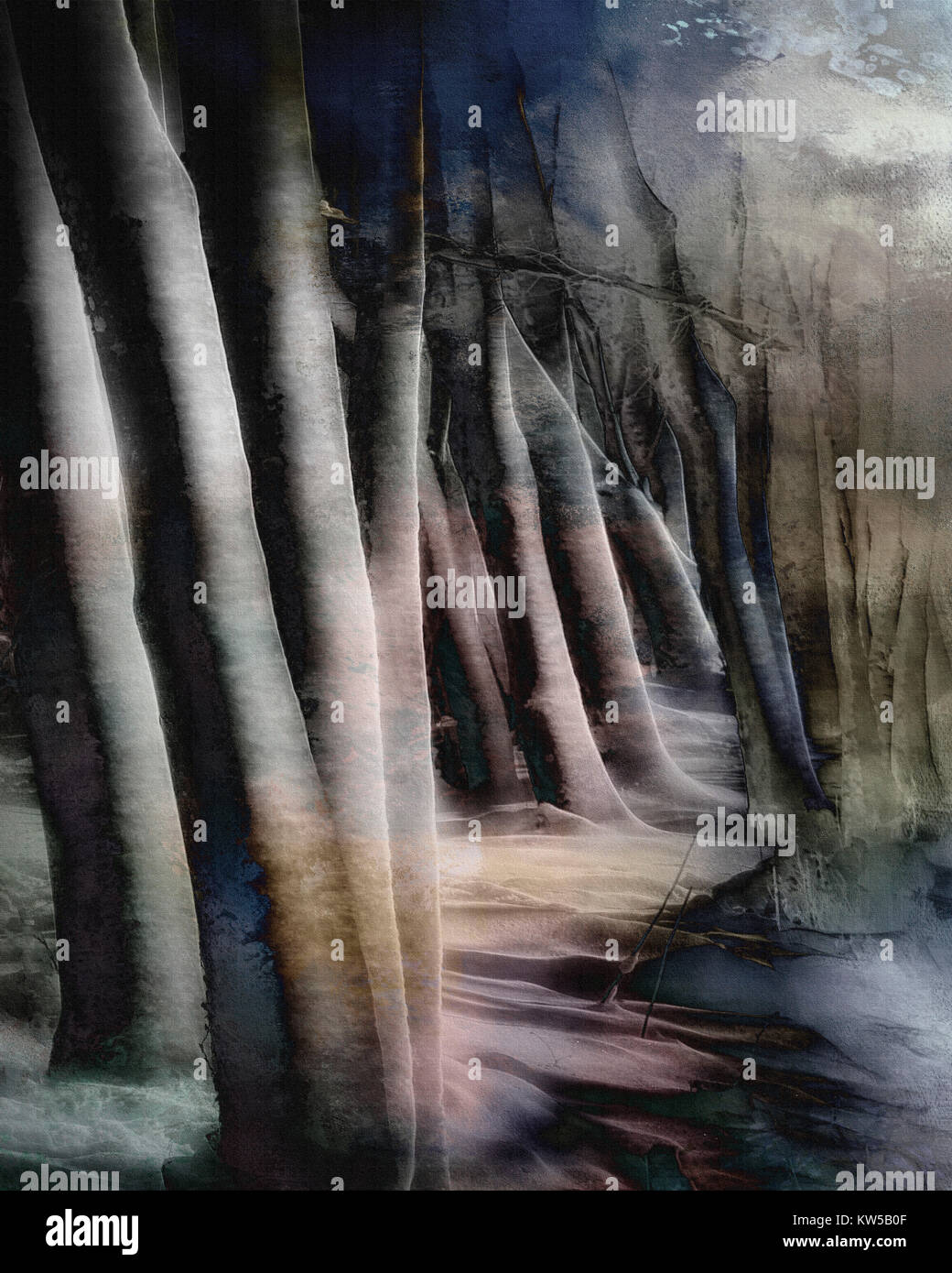 L'ART NUMÉRIQUE : Magic Woods (image HDR) Banque D'Images