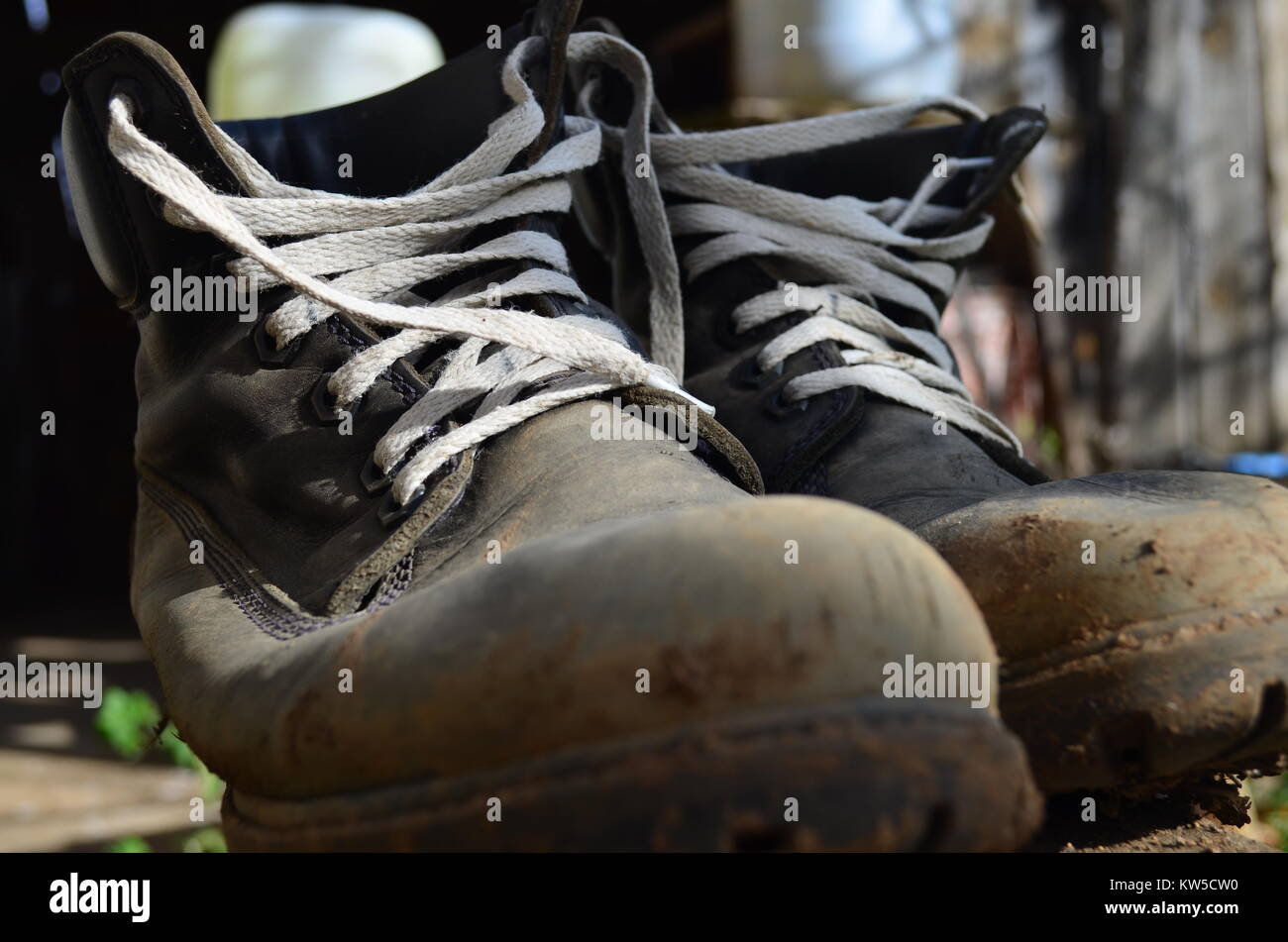 Boots dans le jardin Banque D'Images