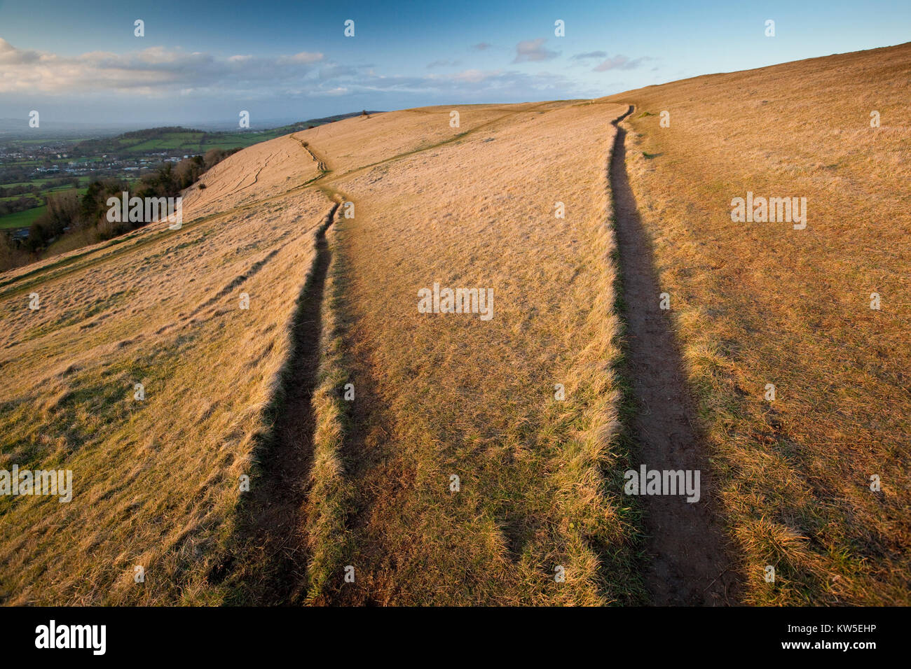 Les chemins divergents sur l'escarpement à Cotswold commun Selsley SSSI Nature Reserve, Gloucestershire, Royaume-Uni Banque D'Images