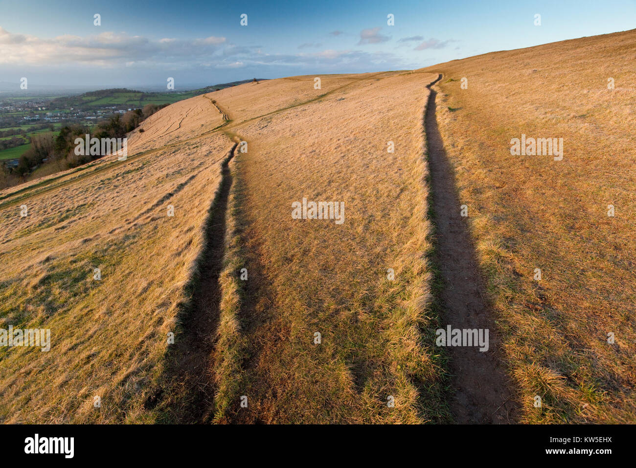 Les chemins divergents sur l'escarpement à Cotswold commun Selsley SSSI Nature Reserve, Gloucestershire, Royaume-Uni Banque D'Images