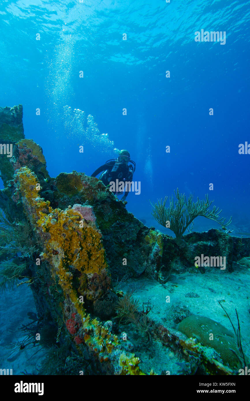 La découverte de la plongée de l'épave DE LA SECONDE GUERRE MONDIALE In Benwood au large de Key Largo, Floride Banque D'Images