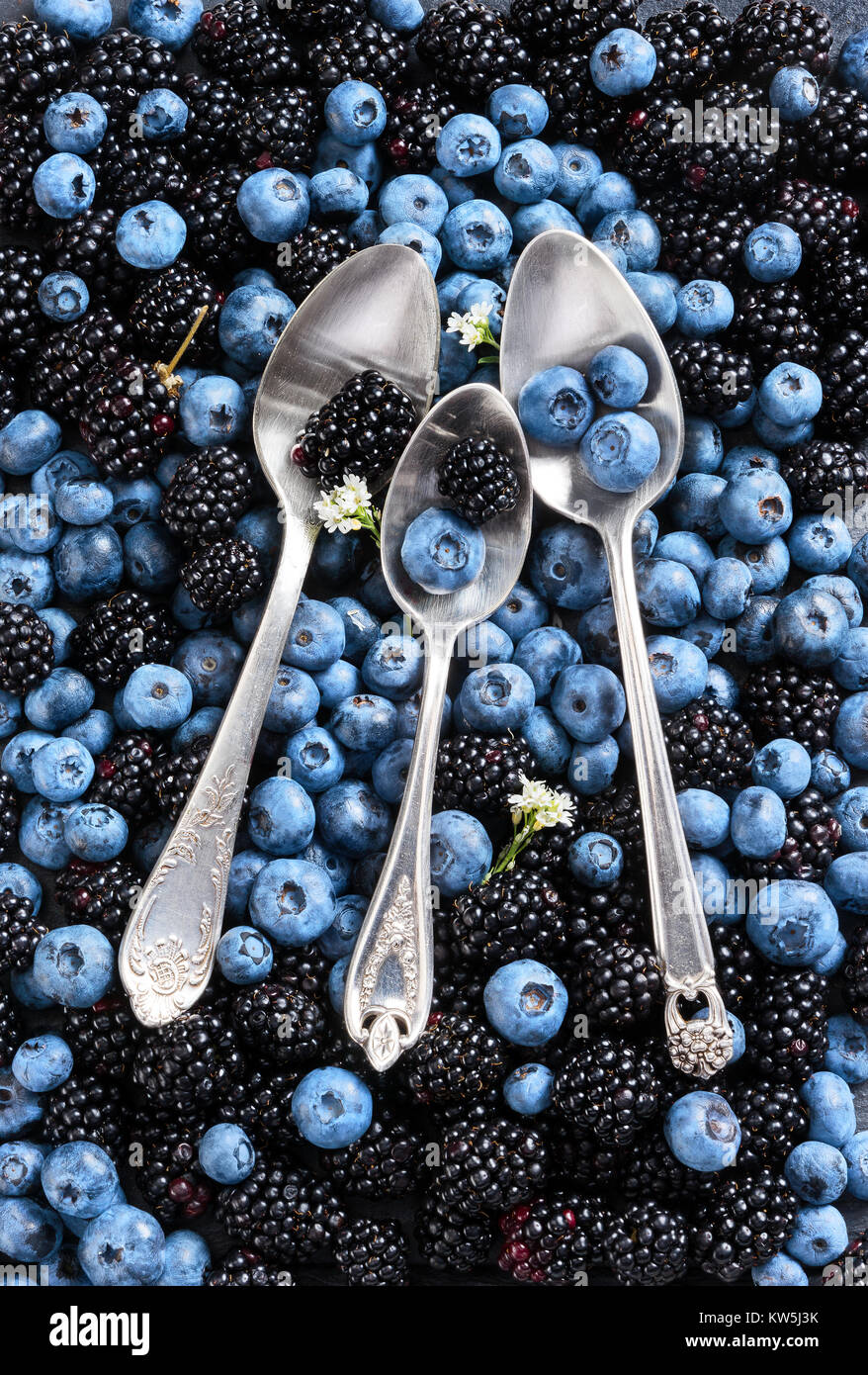Le bleuet et blackberry fond. Close up. Vue d'en haut. Produit de haute résolution. Banque D'Images